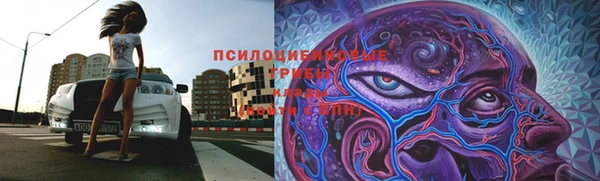 эйфоретик Арсеньев