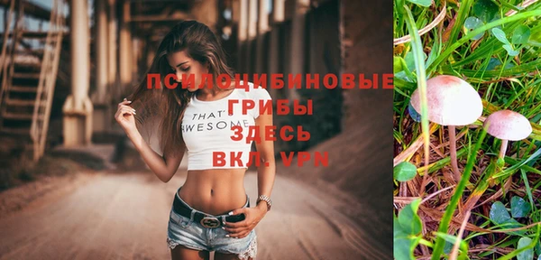 эйфоретик Арсеньев