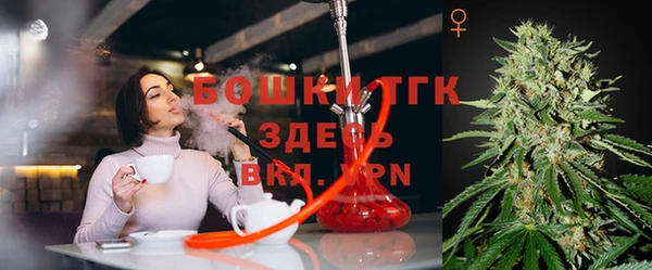 эйфоретик Арсеньев