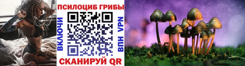 Галлюциногенные грибы ЛСД  где можно купить   Мезень 